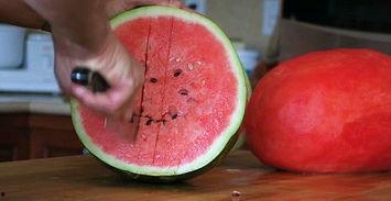 吃瓜视频大全完整版观看 网络大瓜,吃瓜视频大全完整版精彩回顾