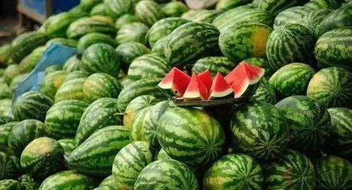 瓜瓜基地.独家爆料免费吃瓜,免费吃瓜盛宴等你来享