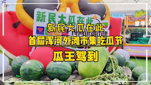 瓜瓜基地.独家爆料免费吃瓜,免费吃瓜盛宴等你来享